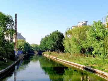 学习规划大学,